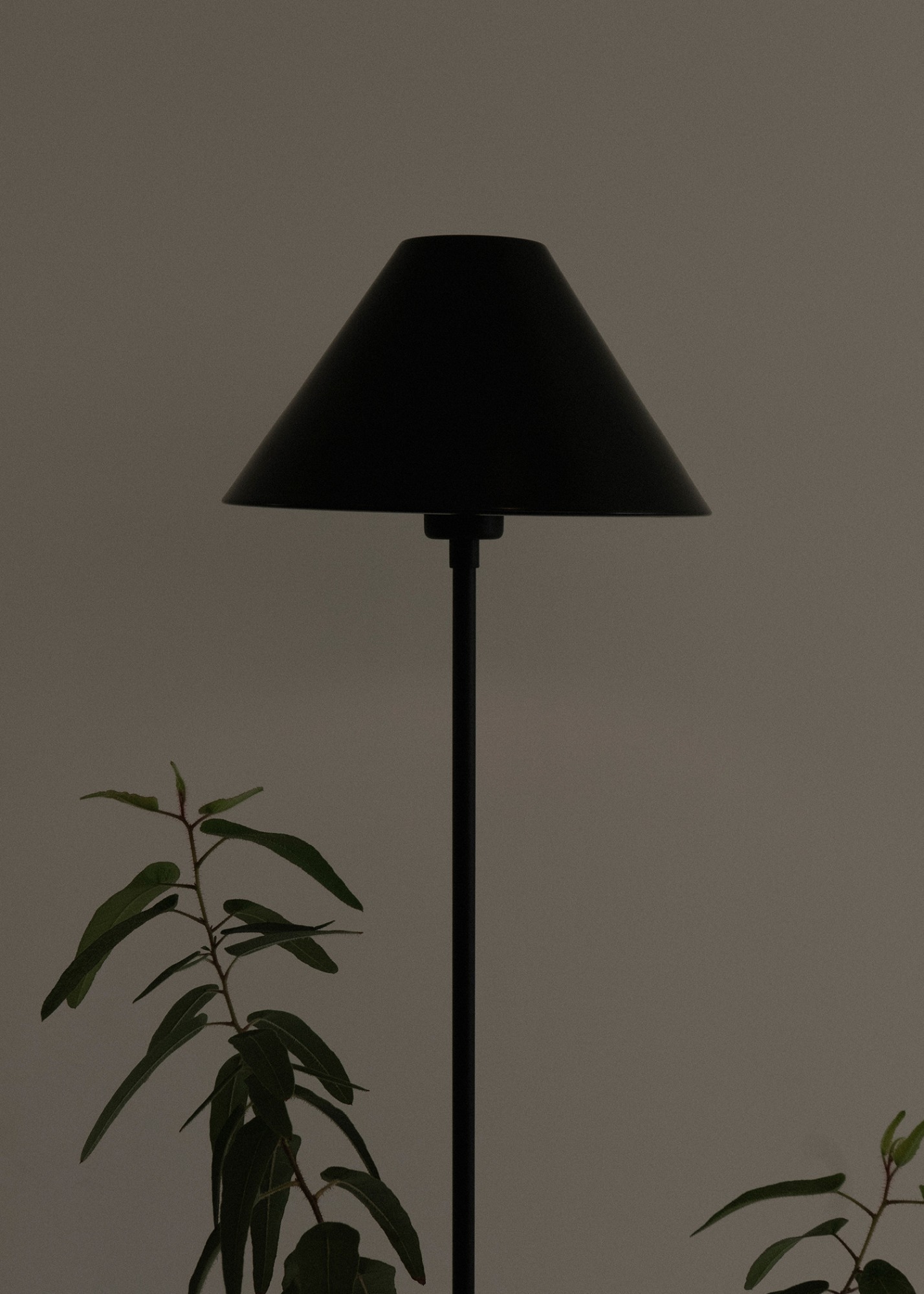 Olive Floor Lamp Black 리오더 5~11일