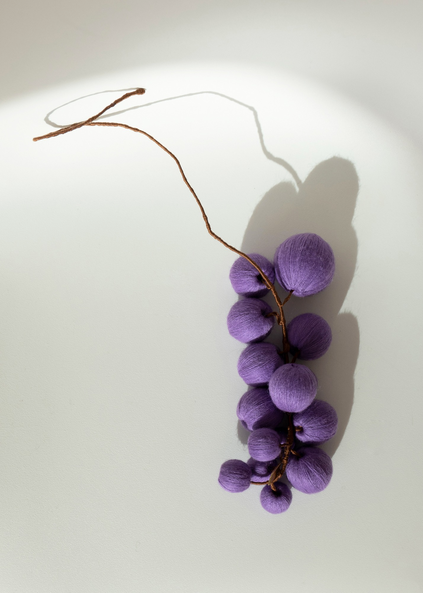 Bunch Grapes Violet