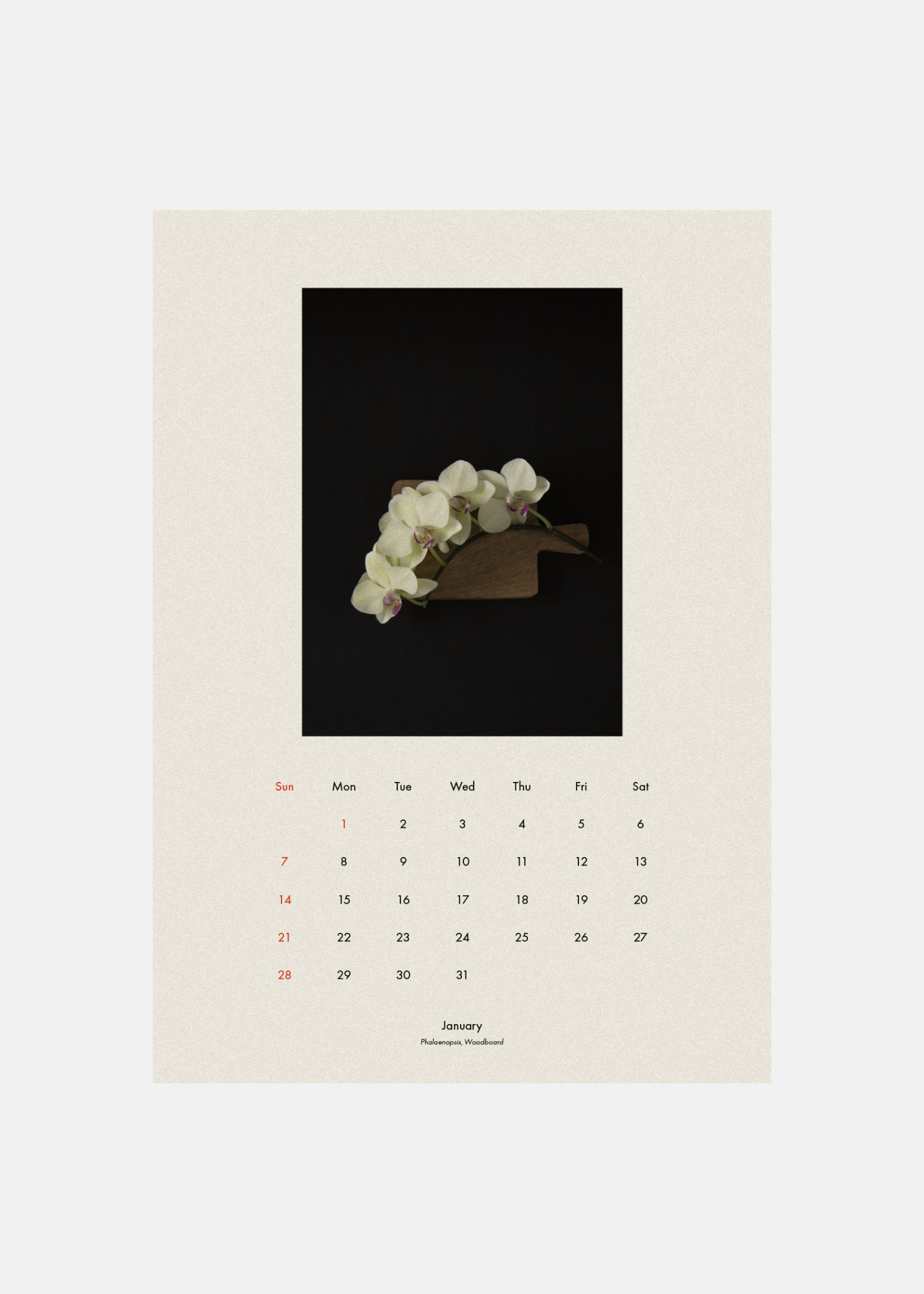 2024 Calendar by kado x FF COLLECTIVE